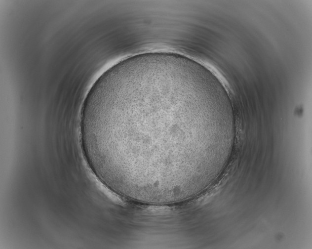 X0000096691142200802261534