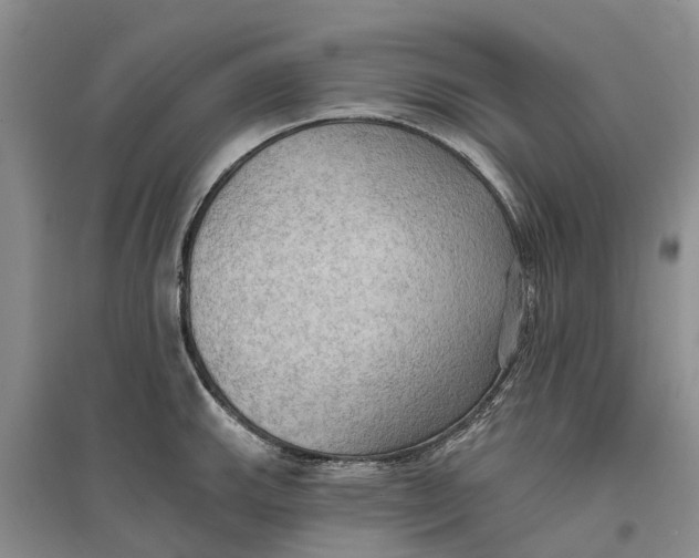 X0000096691143200802261534