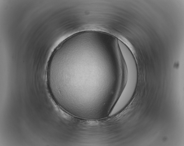 X0000096691144200802261534