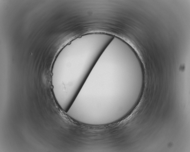 X0000096691145200802261534