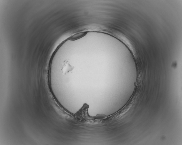 X0000096691146200802261534