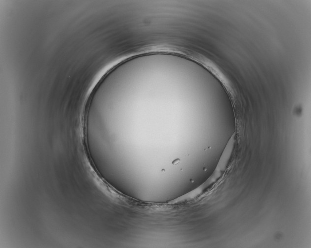 X0000096691148200802261534