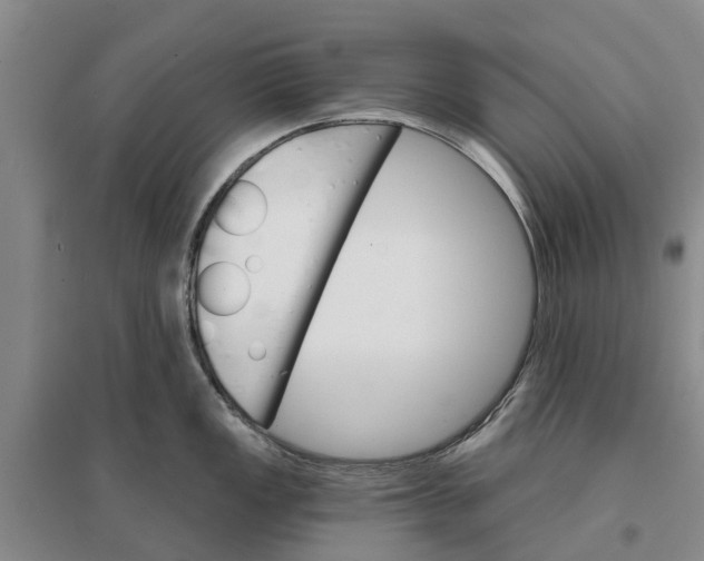 X0000096691149200802261534