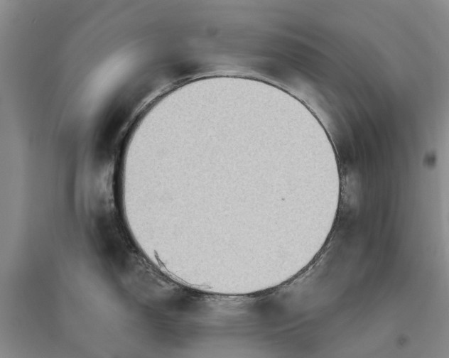 X0000096691150200802261534