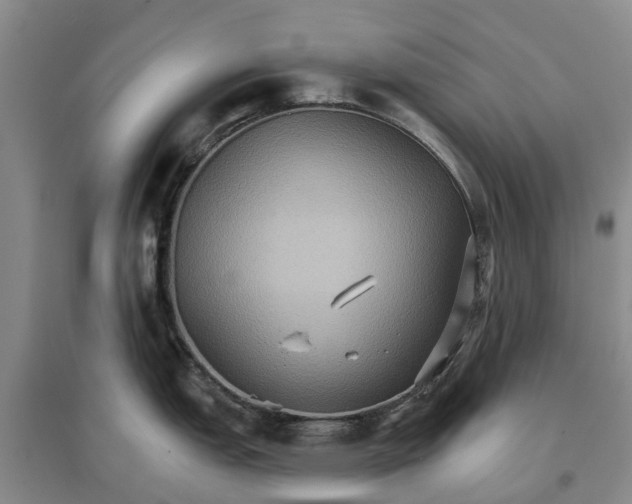 X0000096691151200802261534