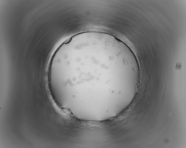 X0000096691152200802261534