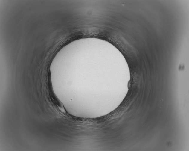 X0000096691153200802261533