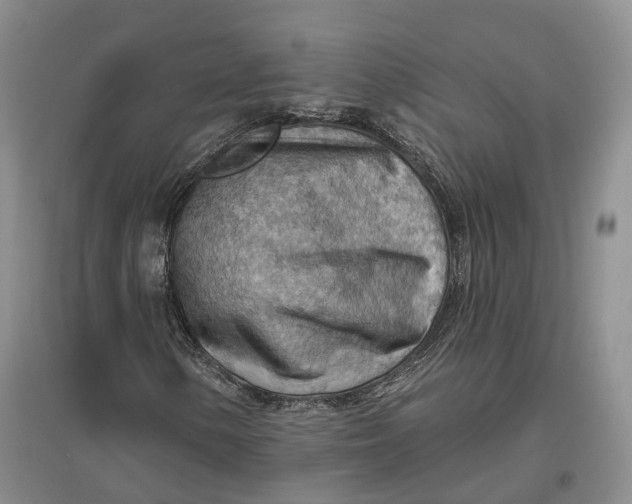 X0000096691154200802261533