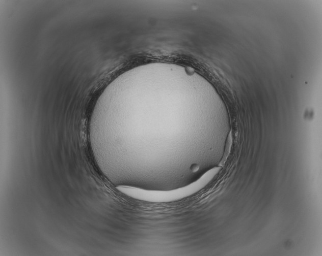 X0000096691156200802261533