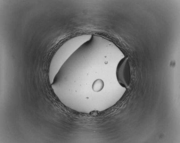 X0000096691157200802261533