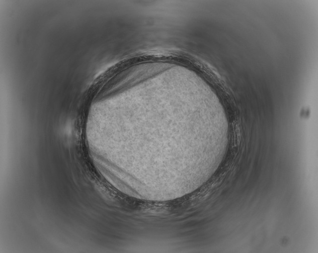 X0000096691158200802261533