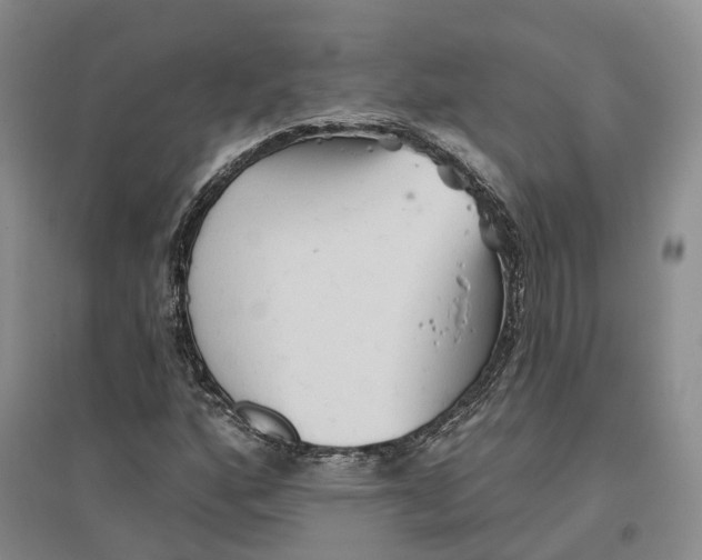 X0000096691160200802261533