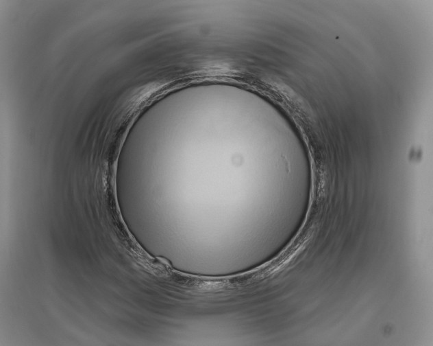 X0000096691161200802261533