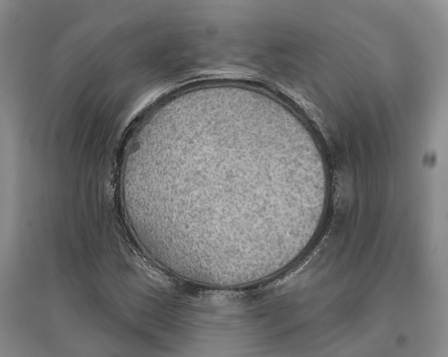 X0000096691163200802261533