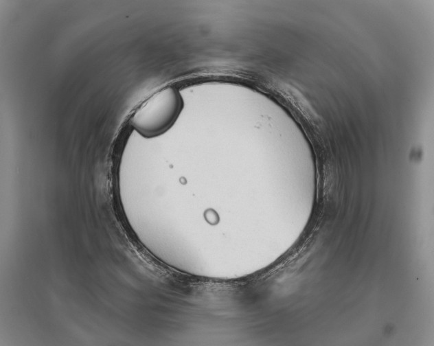 X0000096691164200802261533