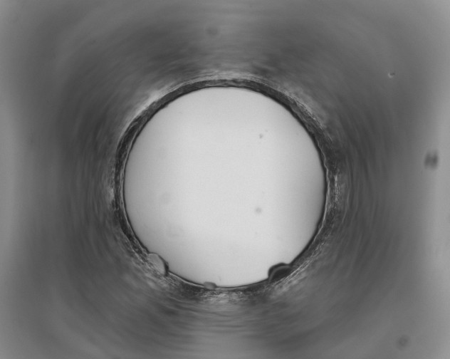 X0000096691165200802261533