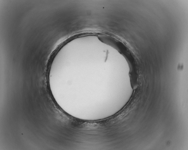 X0000096691168200802261533