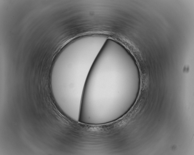 X0000096691169200802261533