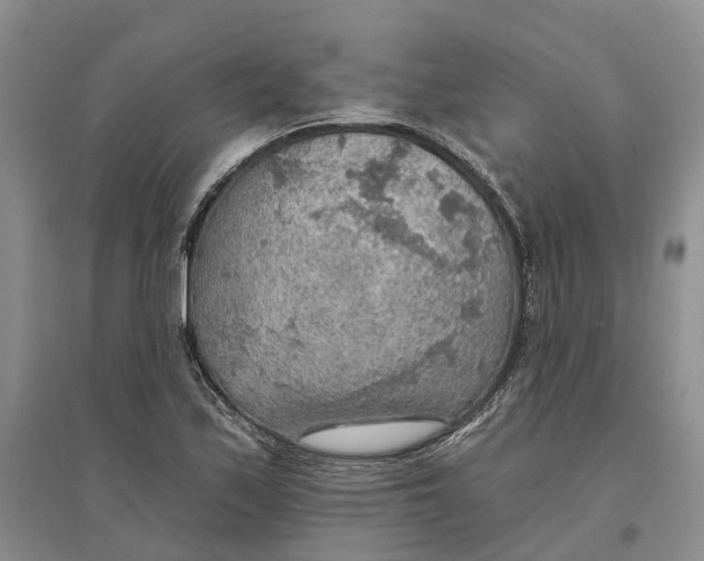 X0000096691171200802261533