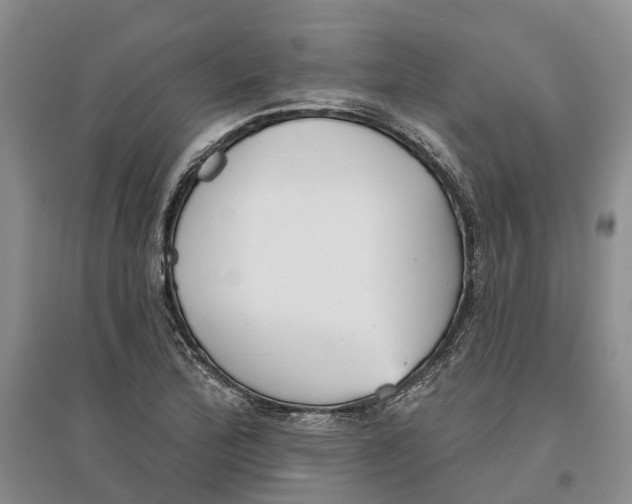 X0000096691172200802261533