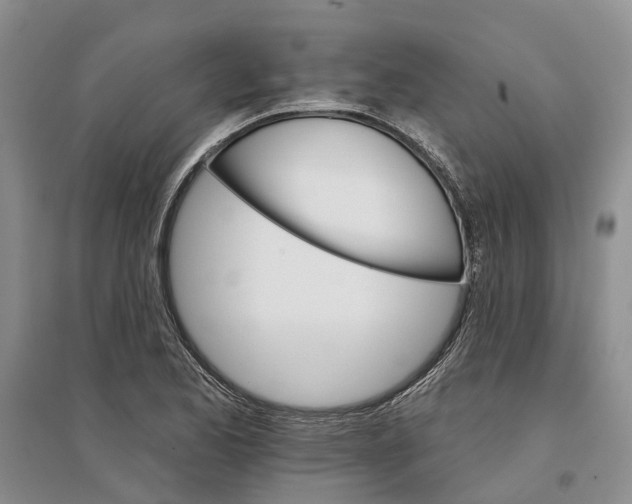 X0000096691173200802261533