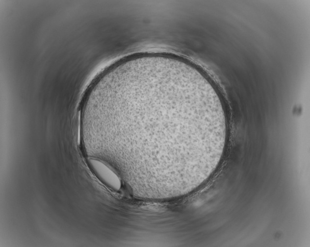 X0000096691175200802261533