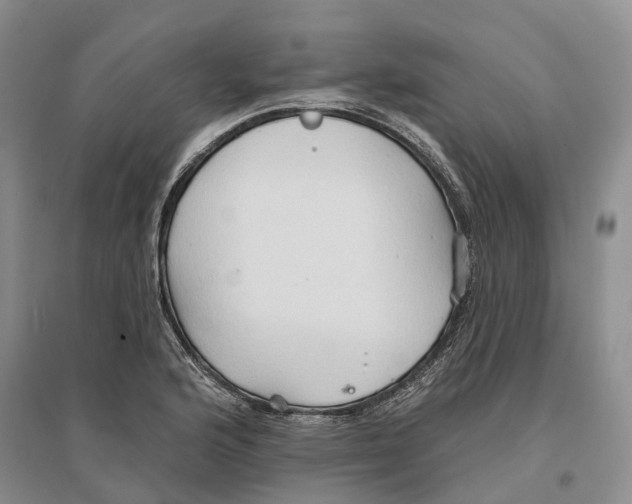 X0000096691176200802261533