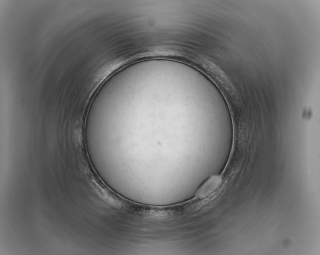 X0000096691177200802261533