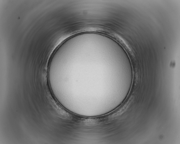 X0000096691178200802261533