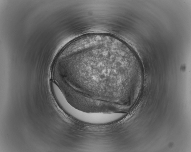 X0000096691179200802261533