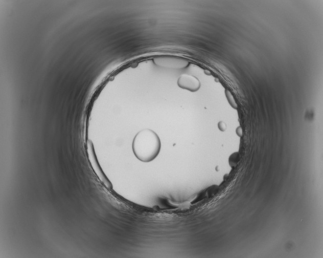 X0000096691180200802261533