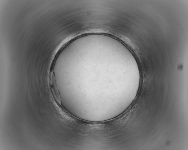 X0000096691181200802261533