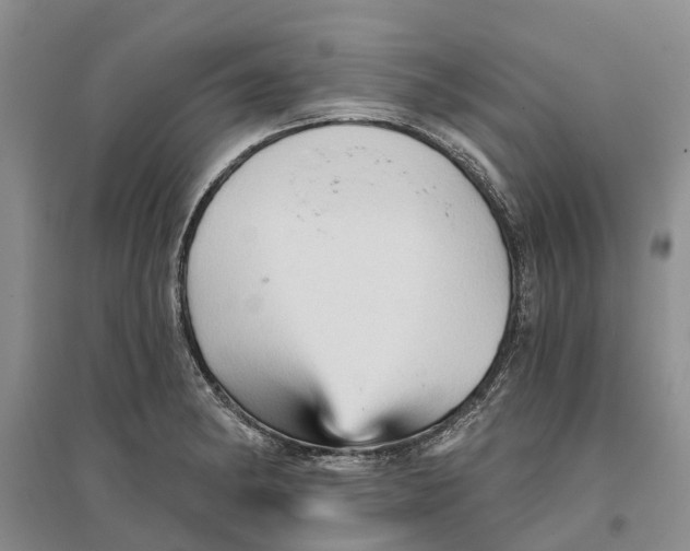 X0000096691182200802261533