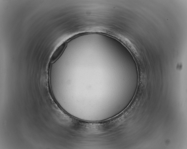 X0000096691184200802261533