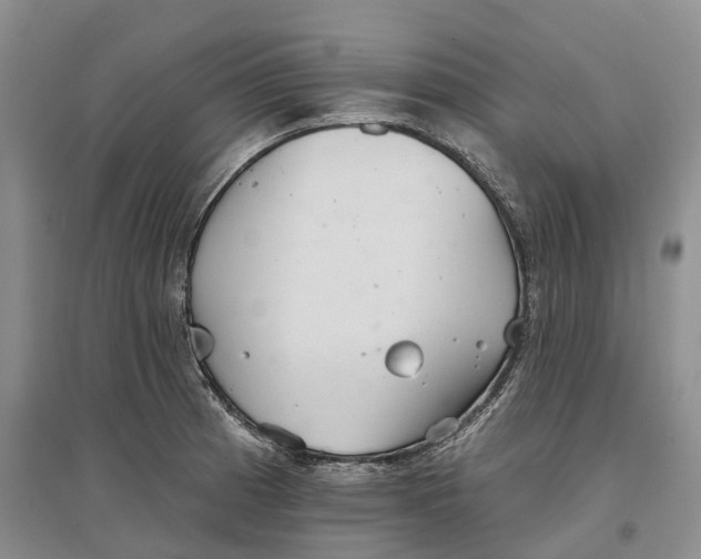 X0000096691185200802261533