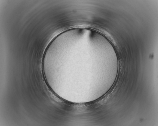 X0000096691186200802261533