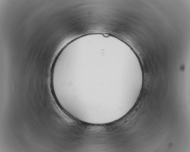 X0000096691187200802261533