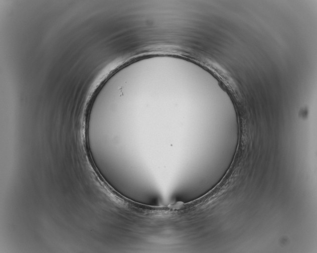 X0000096691188200802261533