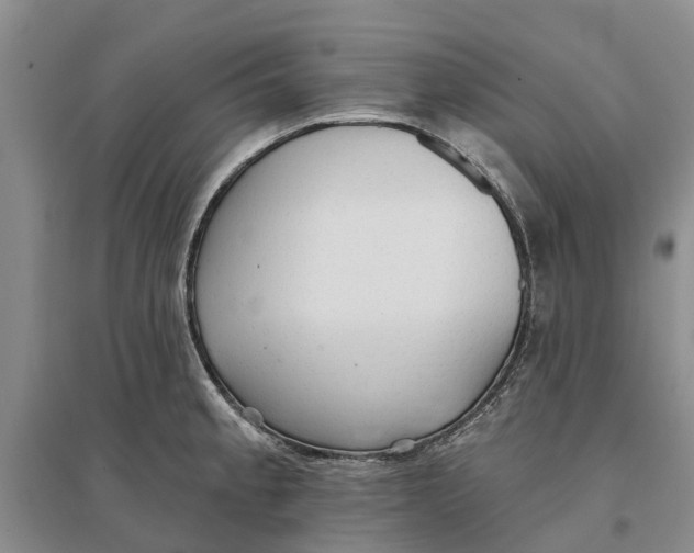 X0000096691189200802261533