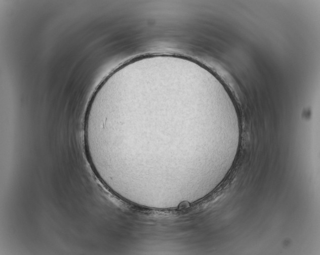 X0000096691191200802261533