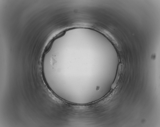 X0000096691192200802261533