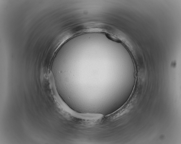 X0000096691193200802261533