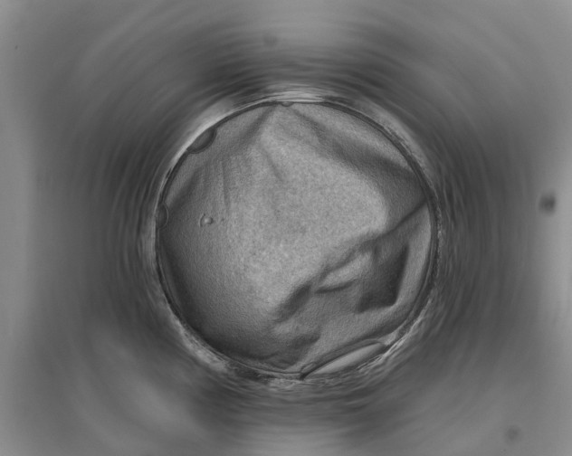 X0000096691194200802261533