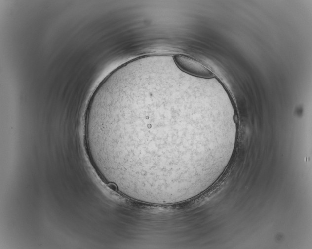 X0000096691195200802261533