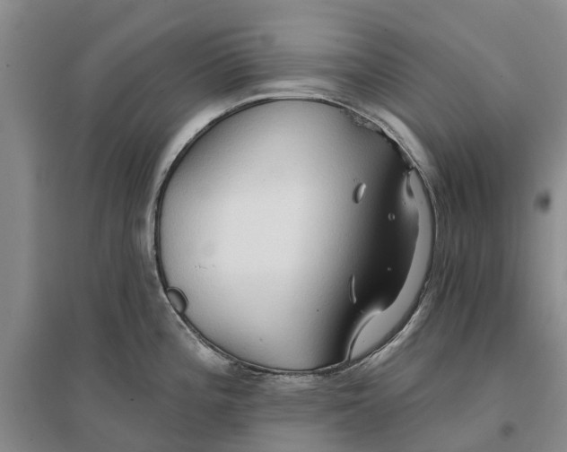 X0000096691196200802261533