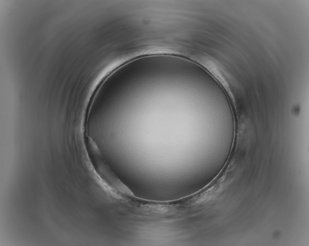 X0000096691197200802261532