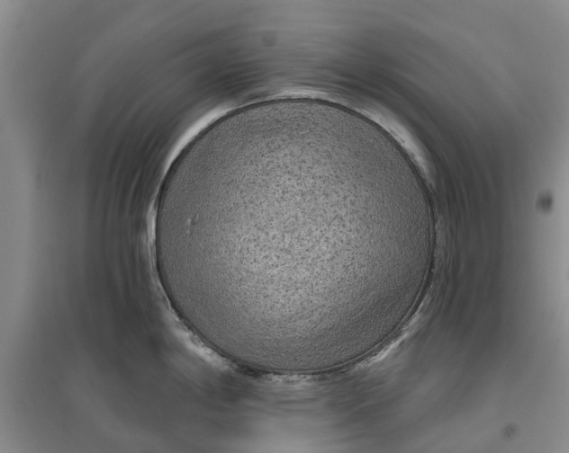 X0000096691198200802261532