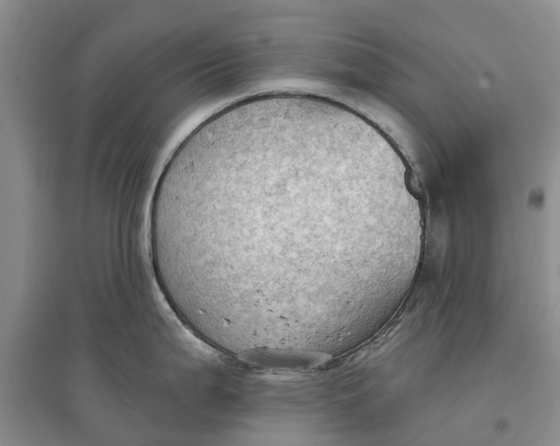 X0000096691199200802261532