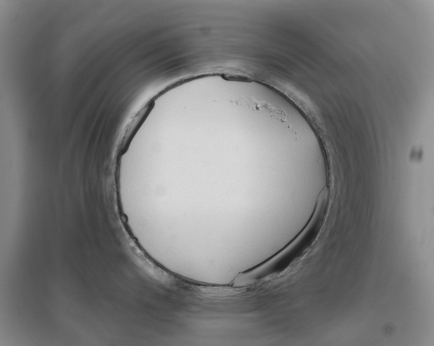 X0000096691200200802261532