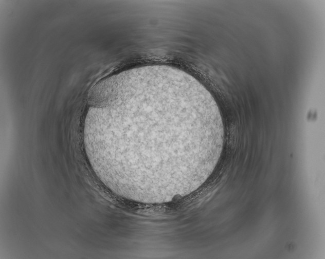 X0000096691201200802261532